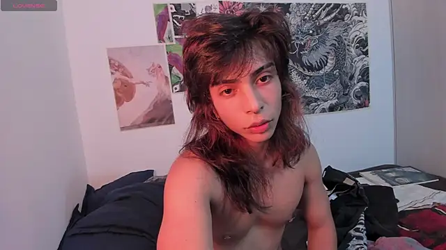 عرض كام XiaoStar