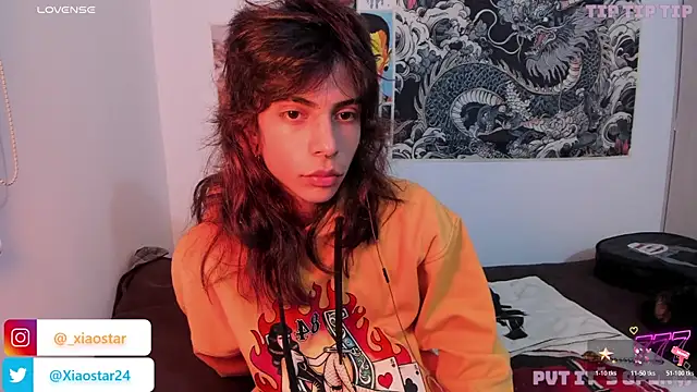 Show de webcam de XiaoStar