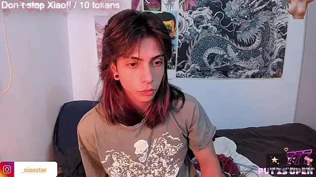 XiaoStar webcam show