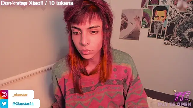 XiaoStar Pertunjukan Webcam