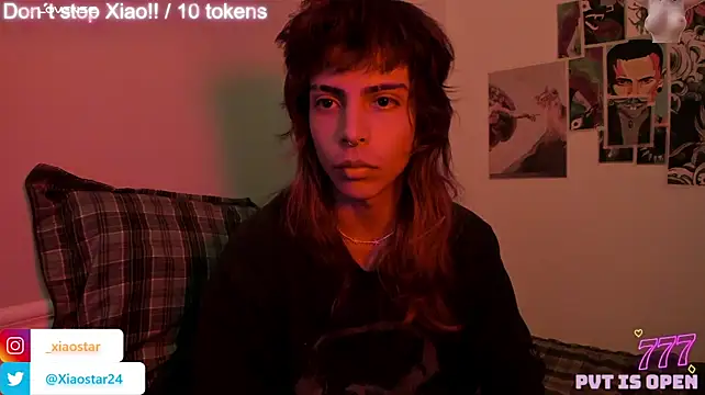 XiaoStar Webcam show