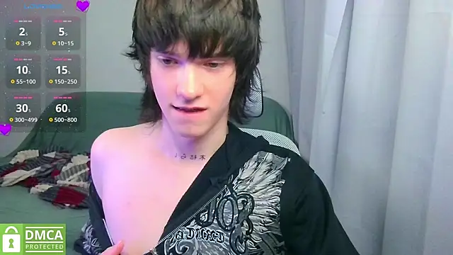 Show webcam de LeonBoykisser