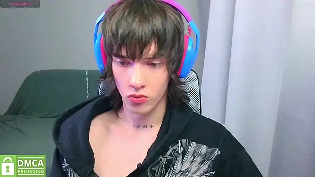 Show webcam de LeonBoykisser
