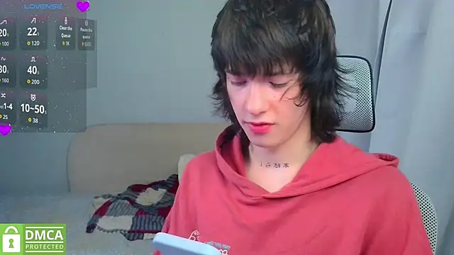 LeonBoykisser Webcam-Show