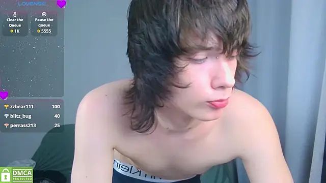 Show webcam de LeonBoykisser