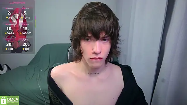 Show webcam de LeonBoykisser