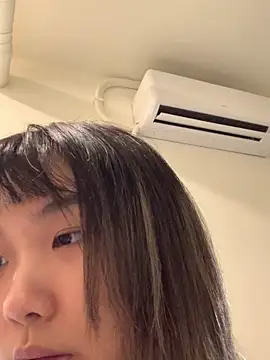 cu003 Show Webcam