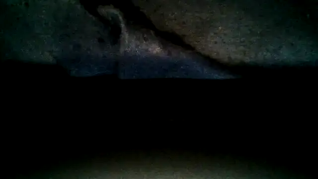 Show webcam de DenBeenDikN