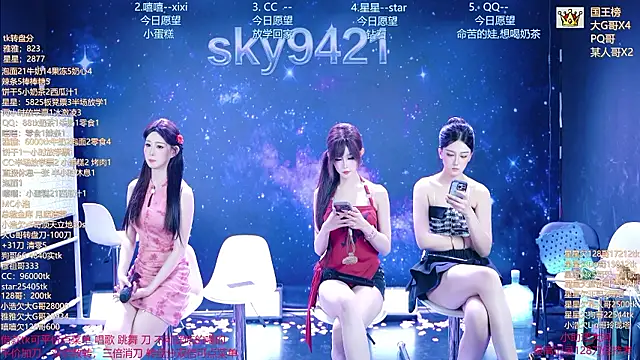 Show webcam de sky94210