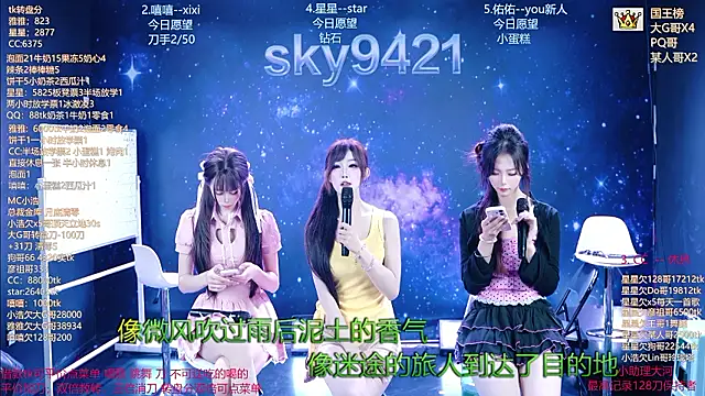 sky94210n Webbikameraesitys
