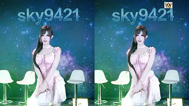 sky94210のウェブカメラショー
