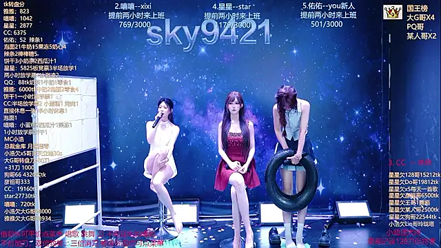 הופעת וובקאם של sky94210