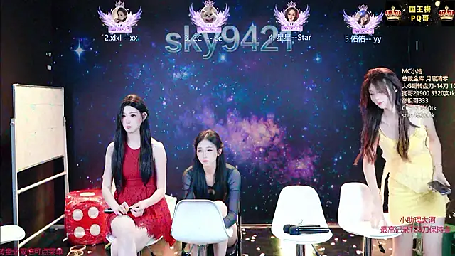 הופעת וובקאם של sky94210