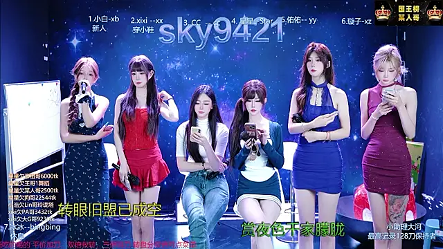 הופעת וובקאם של sky94210