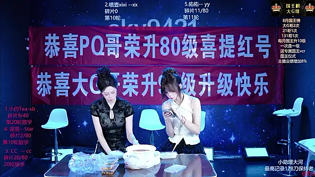 sky94210n Webbikameraesitys