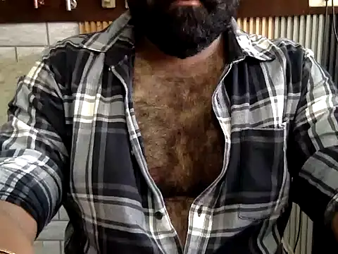 Show de webcam de naughtydaddyy