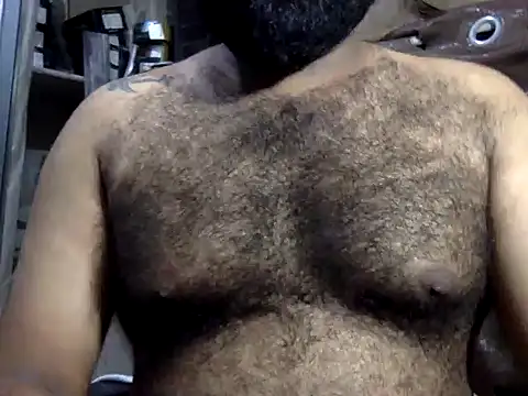 hairy_indian_dad webcam show
