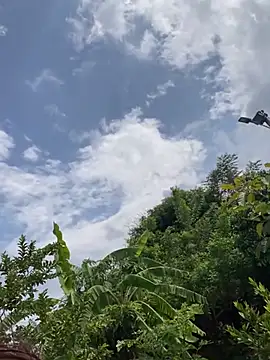 kitty-cat2 Adlı Modelin Web Kamerası Şovu