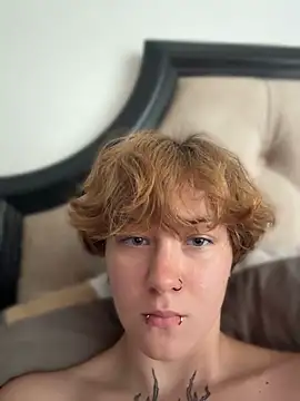 IceMur Show Webcam
