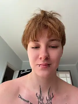 عرض كام IceMur