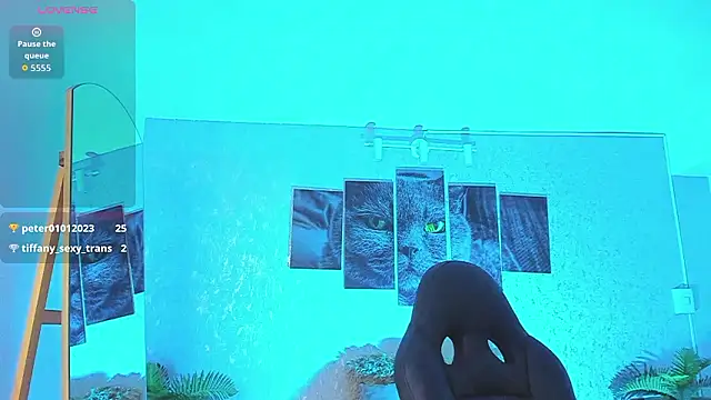 Nils_saintt's Webcam Show