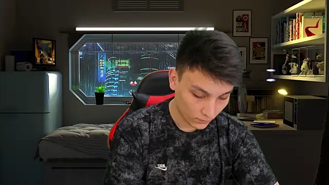 Justin_time111n Webbikameraesitys