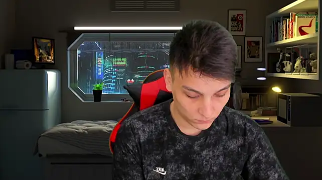 Justin_time111n Webbikameraesitys