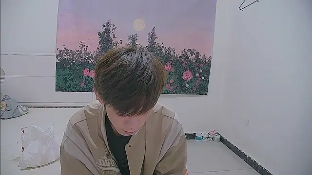 Show webcam de paofu-001