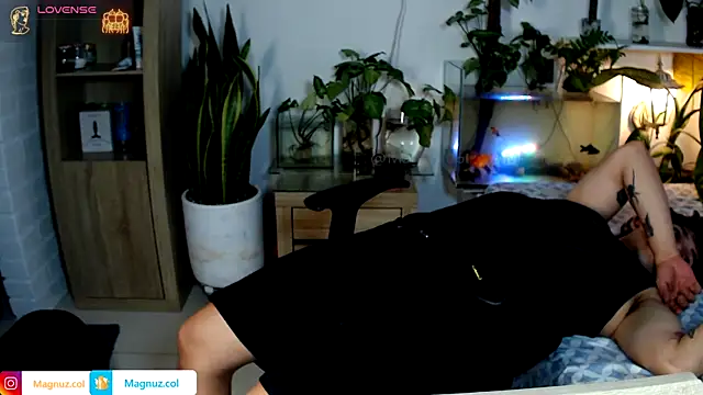 Magnuz_Coln Webbikameraesitys