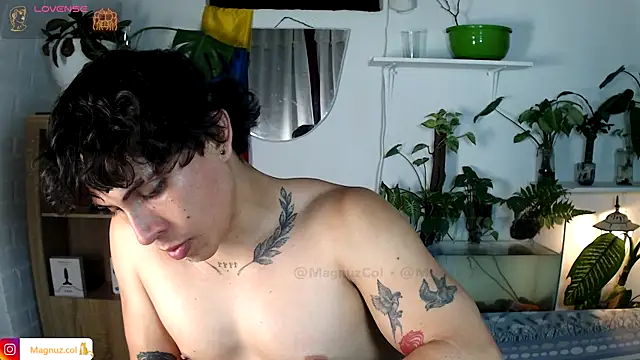 Magnuz_Col Pertunjukan Webcam