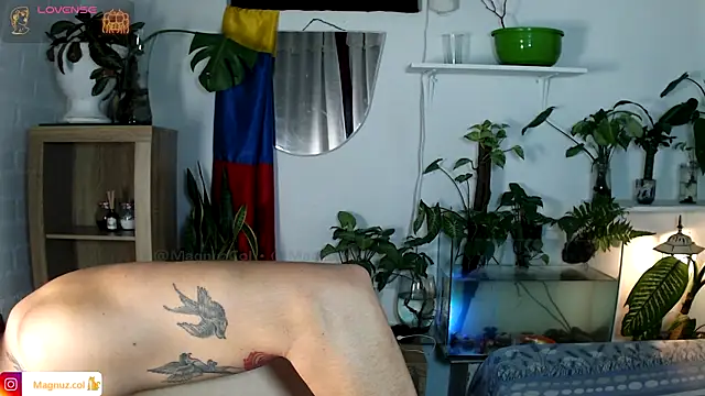 Magnuz_Col's Webcam Show