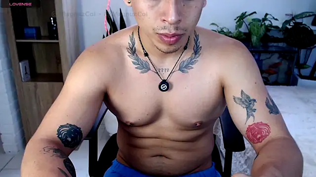 Magnuz_Coln Webbikameraesitys