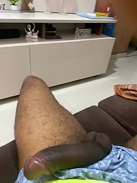 Show de webcam de hudson19cm