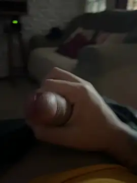 Show de novinn13 na webcam