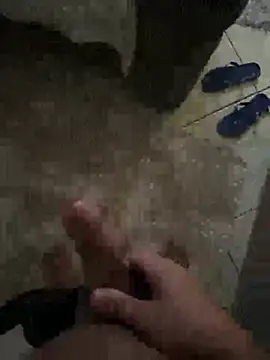 novinn13n Webbikameraesitys