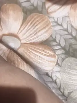 CplAnitan Webbikameraesitys