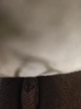 CplAnita Webcam Show
