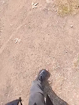 Pokazy przed kamerką – awvele