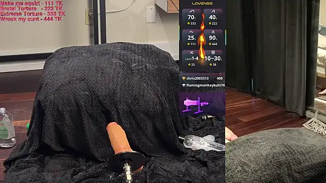 Show webcam de Toronto325