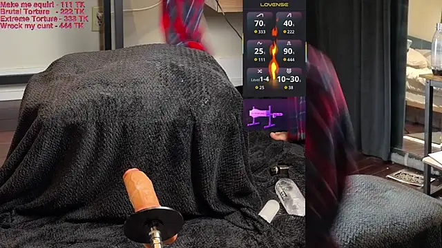 Show webcam de Toronto325