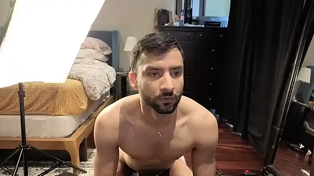 Show Webcam de Toronto325
