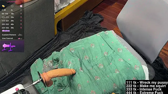 Toronto325 Webcam-Show