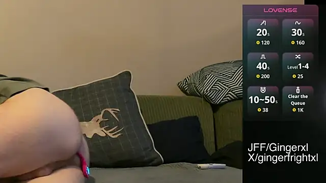Gingerxl8 网络视讯表演