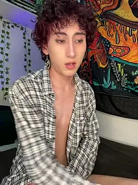 Show webcam de noynxz