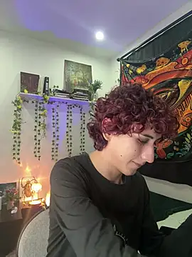 Show Webcam de noynxz