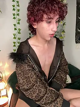 Show Webcam de noynxz