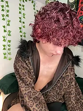 Show webcam de noynxz