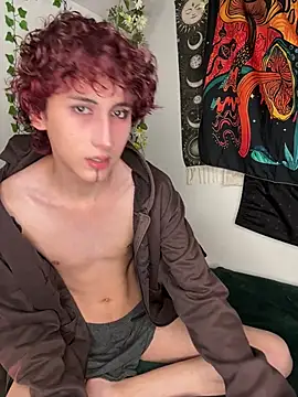 Show webcam de noynxz