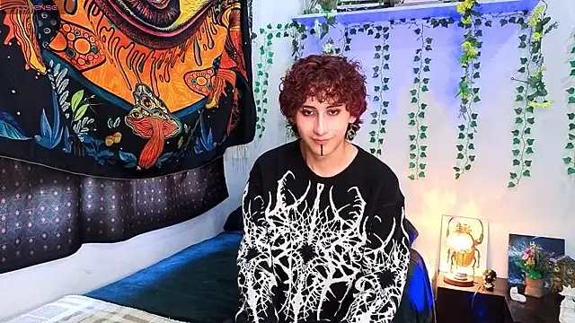 הופעת וובקאם של noynxz