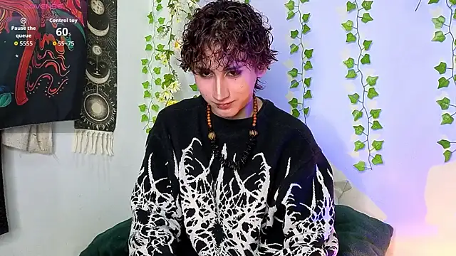 Show Webcam de noynxz